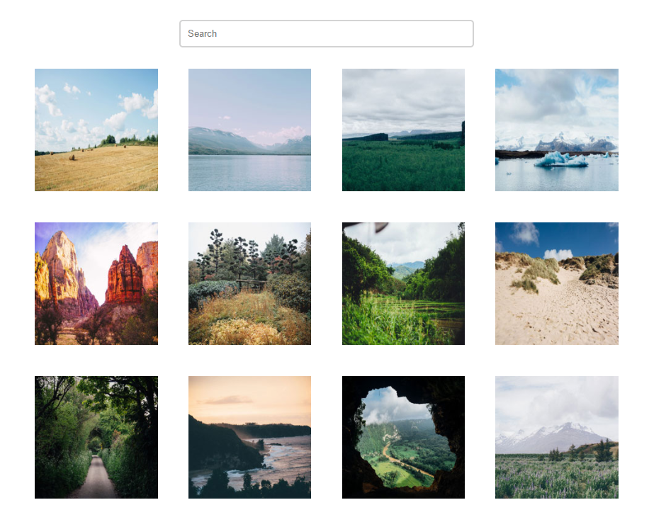 Image gallery with live search functionality and lightboxes. Created with a jQuery plugin & jQuery code